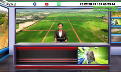 Capture decran 2026 04 21 a 18.26.24 JT DU 21 AVRIL 2026 : Retrouvez le journal de 18h45 avec Sara BOUGOUMA