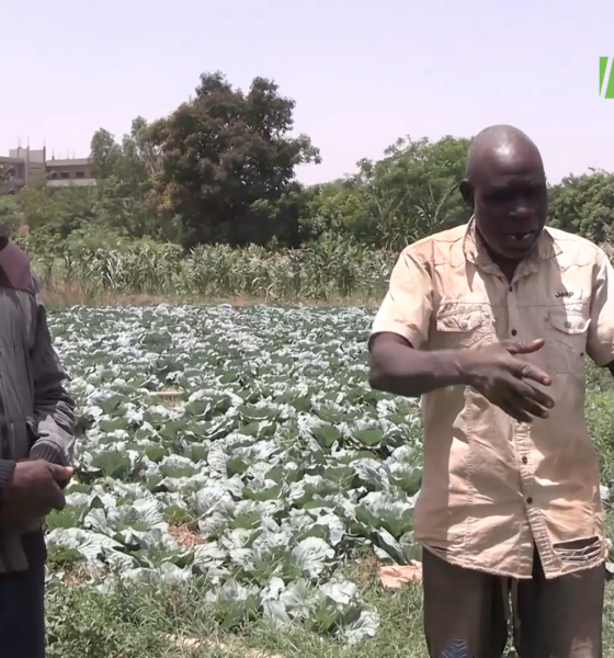 ELEMENT 4 Déguerpissement des maraîchers de Ouaga 2000 : Les concernés souhaitent avoir un délai supplémentaire