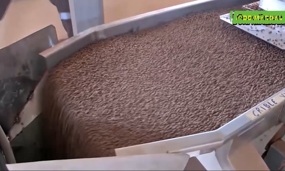 cap 3 3 Filière piscicole au Burkina Faso : Faso Guulgo produit désormais des aliments pour poisson