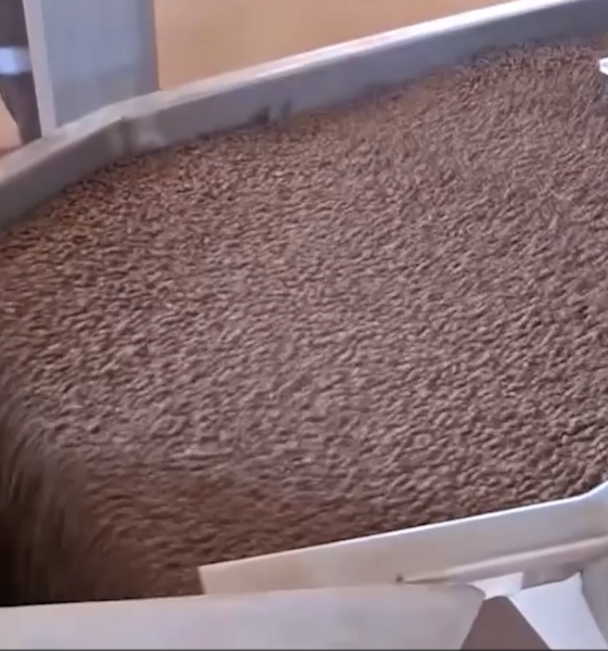 cap 3 3 Filière piscicole au Burkina Faso : Faso Guulgo produit désormais des aliments pour poisson