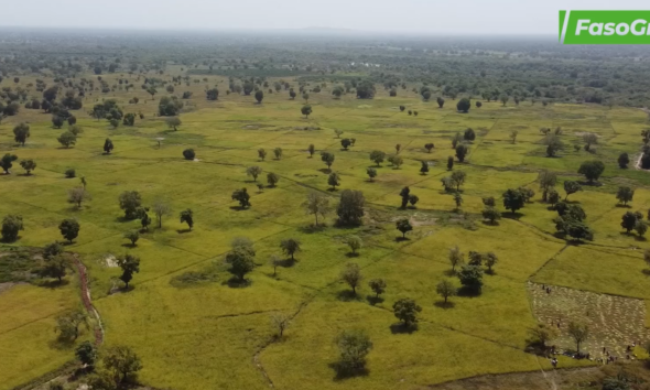 f1 Journée internationale de la Terre nourricière : Une halte pour interpeller à la protection de la planète entière