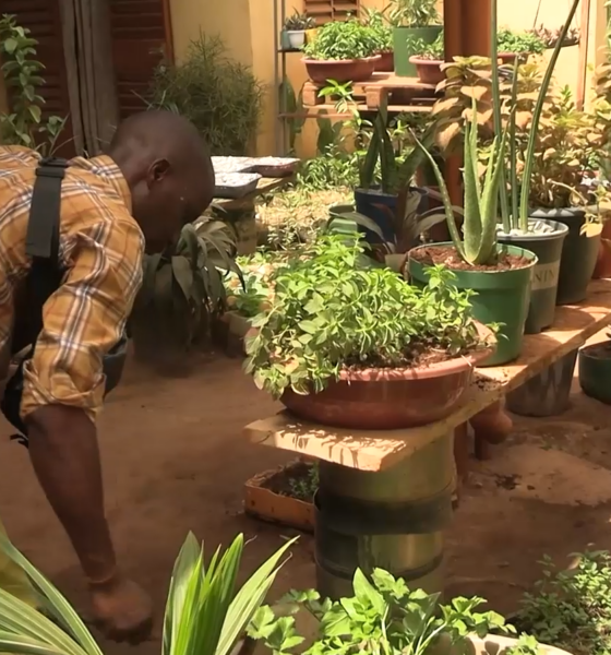 fr1 Culture hors-sol : Thomas KOANDA transforme le domicile familial en jardin productif