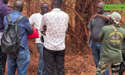 fr4 Tour d’horizon du 15 avril 2026