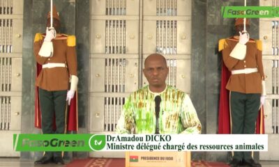Santé animale au Burkina Faso : Vers une loi pour la souveraineté sanitaire
