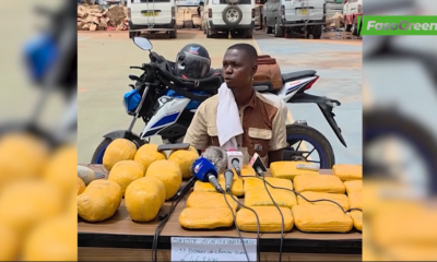 Capture decran 2026 05 19 090936 Lutte contre le trafic illicite : Un trafiquant dans les filets de la douane