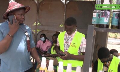 Moringa : une plante aux mille vertus mise à l’honneur à l’initiative « De la graine à la table »
