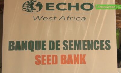 Semences paysannes : Echo West Africa fait de son cheval de bataille
