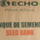 Semences paysannes : Echo West Africa fait de son cheval de bataille