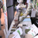 cap inera Foire aux semences de l'INERA: La 17e édition se tient du 29 au 31 mai 2026