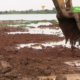vlcsnap 2026 05 28 20h13m11s404 Campagne nationale de curage et de confortation des barrages : Constat des travaux au barrage numéro 2 de Ouagadougou