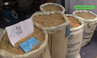CAP 2 2 Foire semences améliorées certifiées : Zoom sur l’Union Régionale des Sociétés Coopératives des Producteurs de Semences Améliorées du Nakambé