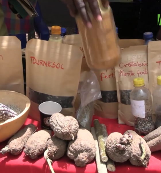 CAP 2 Souveraineté alimentaire : les acteurs ouest-africains misent sur les semences paysannes