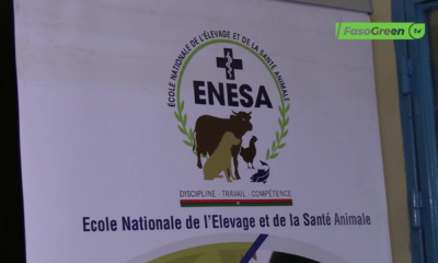 CAP 2 FR Elevage : L’ENESA lance des sessions de formations certifiantes