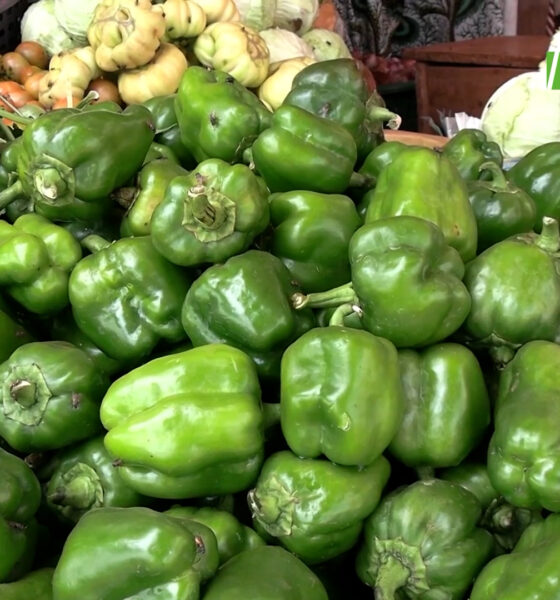 CAP3 Flambée des prix de certains condiments : Vendeuses et clientes entre inquiétude et espoir