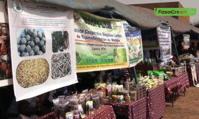 1. La foire provinciale des produits forestiers non ligneux : Une troisième édition réussie