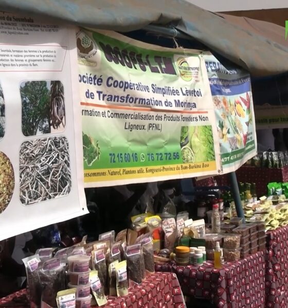 1. La foire provinciale des produits forestiers non ligneux : Une troisième édition réussie