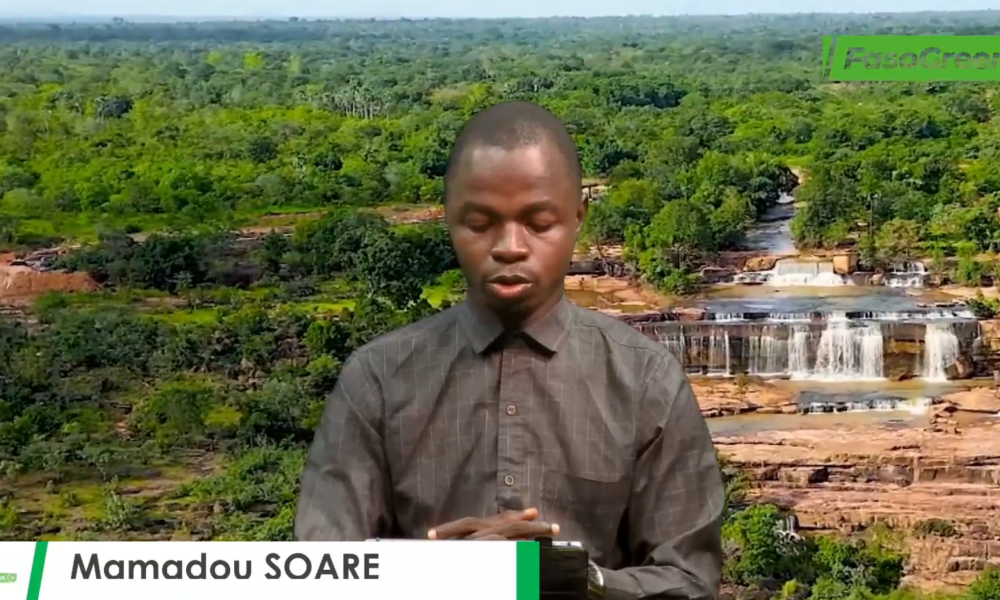 Capture decran 2026 06 15 185838 Province de la Leraba: 1000 hectares de périmètres irrigués mise en eau