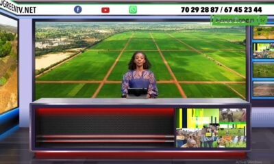 Capture decran 2026 06 16 185248 JT DU 16 JUIN 2026