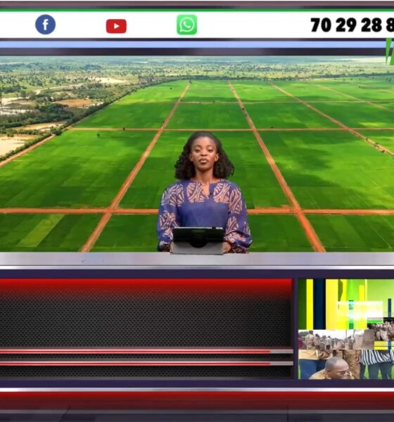 Capture decran 2026 06 16 185248 JT DU 16 JUIN 2026