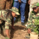 Capture decran 2026 06 29 a 08.24.21 Campagne de reforestation 2026 : 15 millions de plants à mettre en terre