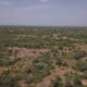 cap 1 1 JME 2026 : Abdoulaye BAZIÉ appelle à une mobilisation collective pour une meilleure préservation de l’environnement