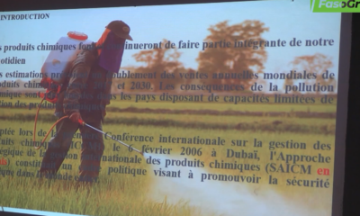 cap fr 1 Lutte contre les effets des pesticides sur les populations et l’environnement : Le projet PED voit le jour