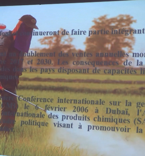 cap fr 1 Lutte contre les effets des pesticides sur les populations et l’environnement : Le projet PED voit le jour
