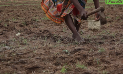 cap fr 2 Initiative Présidentielle pour une Education de Qualité : Bientôt la ferme de l’école pour déconstruire les préjugés sur l’agriculture