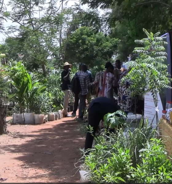 3CAP Salon International de l'Arbre: Zoom sur Elevage Familial B2