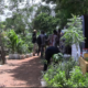 3CAP Salon International de l'Arbre: Zoom sur Elevage Familial B2