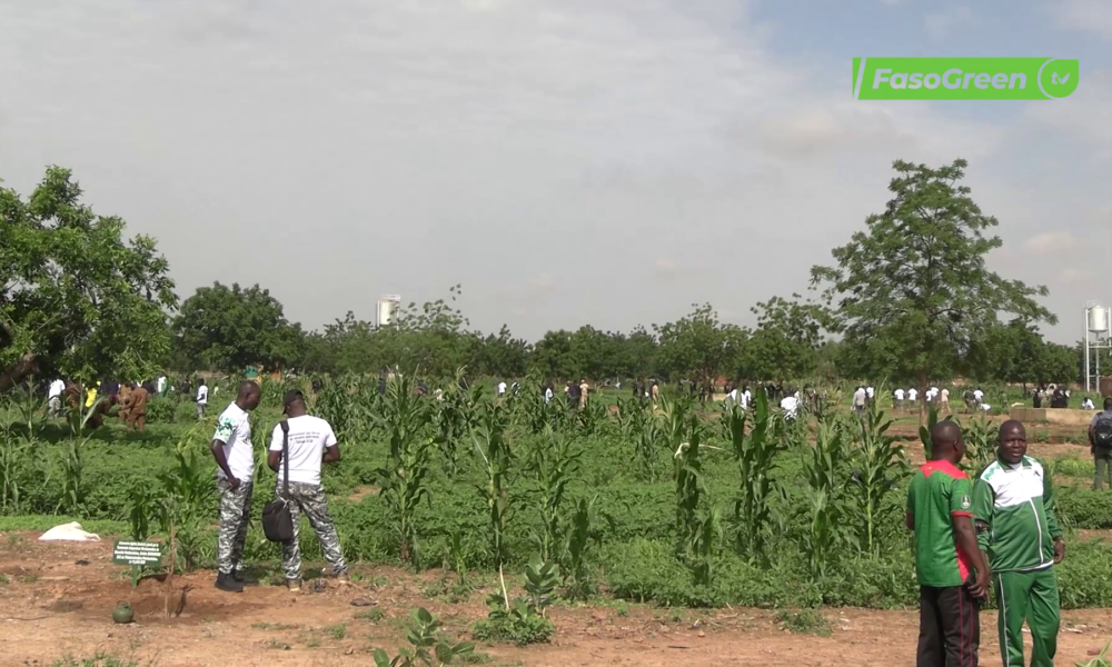 CAP 1 20JUILLET Campagne nationale de reforestation : Les forces de securité intérieure repondent à l'appel