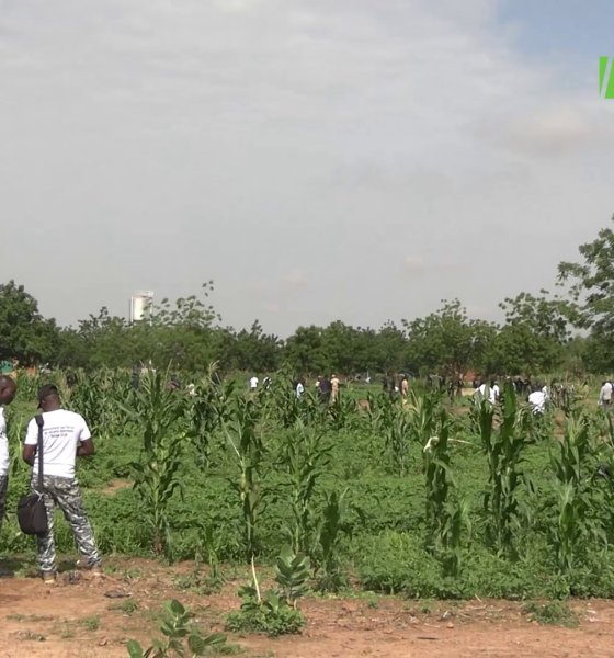 CAP 1 20JUILLET Campagne nationale de reforestation : Les forces de securité intérieure repondent à l'appel