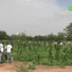 CAP 1 20JUILLET Campagne nationale de reforestation : Les forces de securité intérieure repondent à l'appel