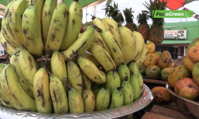 CAP 2 Fruits de saison : entre bienfaits nutritionnels et précautions d’usage