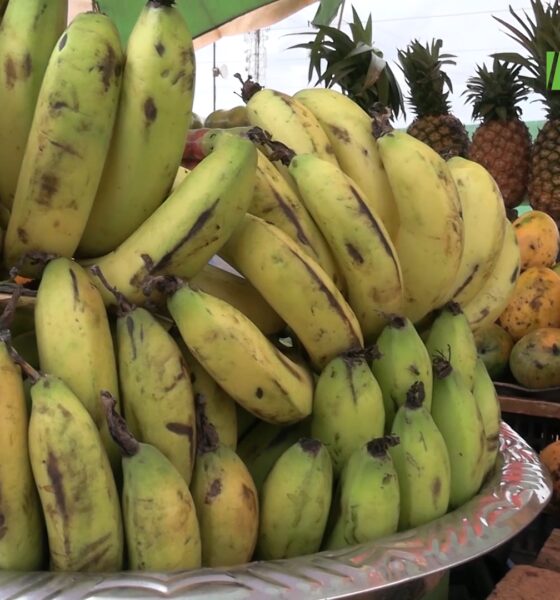 CAP 2 Fruits de saison : entre bienfaits nutritionnels et précautions d’usage