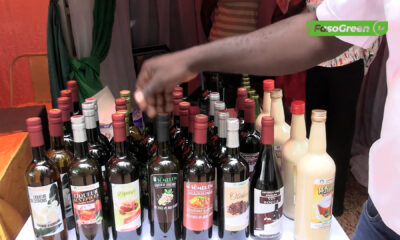 CAP002 2 Transformation de fruits en vin : la spécialité d’Agro Adveniat Production