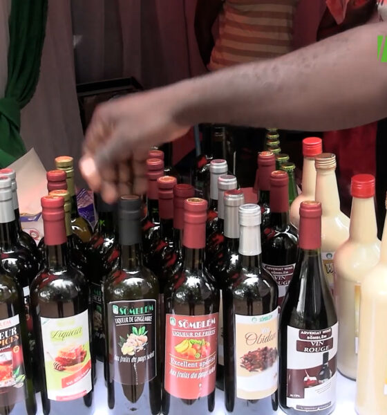 CAP002 2 Transformation de fruits en vin : la spécialité d’Agro Adveniat Production