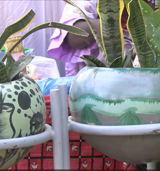 cap 3 Florale Exotik : une structure qui fait dans l’aménagement de jardin et la vente de pierres décoratives