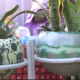 cap 3 Florale Exotik : une structure qui fait dans l’aménagement de jardin et la vente de pierres décoratives