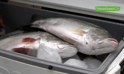 cap1 3 Ouagadougou : le prix du poisson s'enflamme