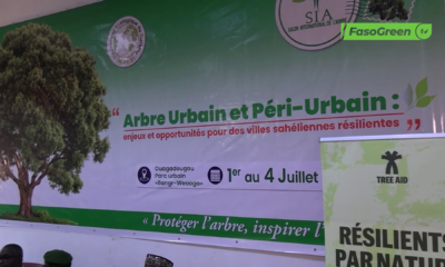 cap1 Salon International de l’Arbre : C’est parti pour la 8ème édition