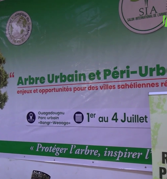 cap1 Salon International de l’Arbre : C’est parti pour la 8ème édition