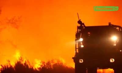cap3 2 Incendie en France : Plusieurs hectares de forêts partis en fumée