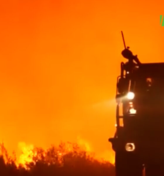 cap3 2 Incendie en France : Plusieurs hectares de forêts partis en fumée