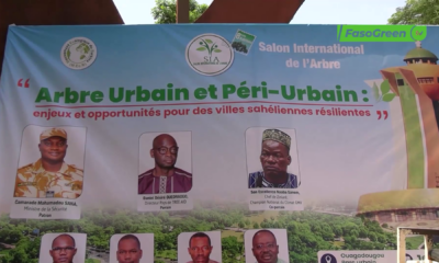vlcsnap 2026 07 02 14h45m54s822 Salon International de l’Arbre : C’est parti pour la 8ème édition