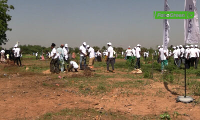CAP 1 MOORE Reboisement : Le Groupe HAGE met en terre 300 plants