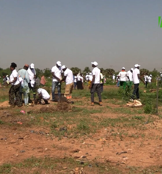 CAP 1 MOORE Reboisement : Le Groupe HAGE met en terre 300 plants