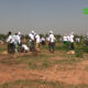 CAP 1 MOORE Reboisement : Le Groupe HAGE met en terre 300 plants