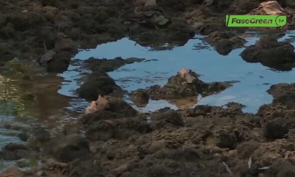 CAP 3 5 France : une sécheresse inédite conduit à des restrictions sur l'eau