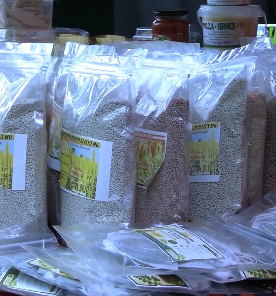 CAP 3 Bobo-Dioulasso : les Femmes Handicapées Unies du Houet transforment les produits de la forêt